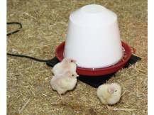 Obrázek k výrobku 126005 - Výhřevná gumová podložka k napáječce nebo misce na vodu KERBL 70239, 24x24 cm