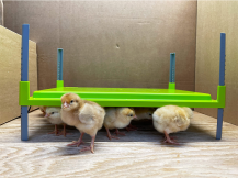 Obrázek k výrobku 126389 - Výhřevná topná deska pro drůbež - CALEO 1400 - 30,5x43cm