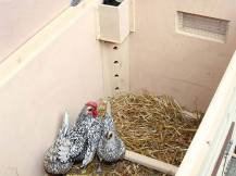 Obrázek k výrobku 126025 - Zateplený vyhřívaný kurník pro slepice KERBL 82844 NO FROST