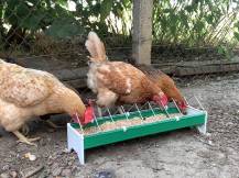 Obrázek k výrobku 126058 - Žlabové krmítko pro slepice plastové CF033.10P - 13x50cm